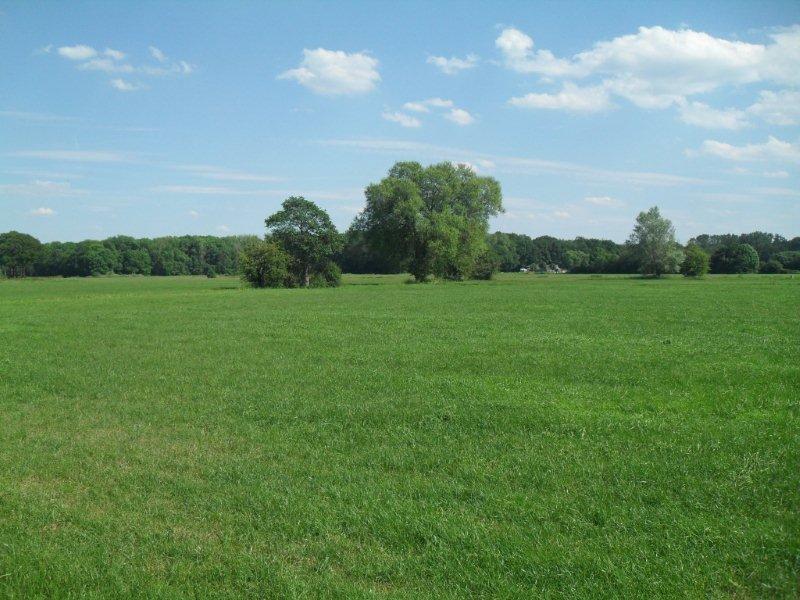 camping de bannik
