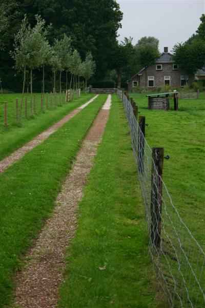camping noorderzon